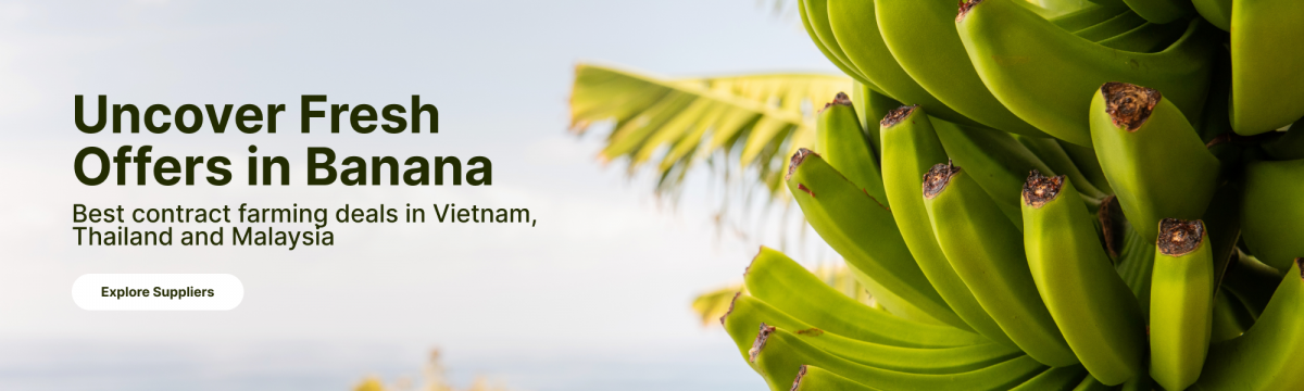 Banana