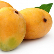 Alphonso Mangoes