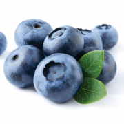 Bluecrop Blueberries