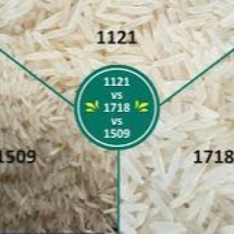 Agriculture